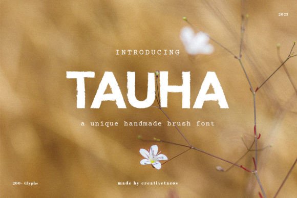 Tauha: A Bold Sans Serif Font for Editorial Impact